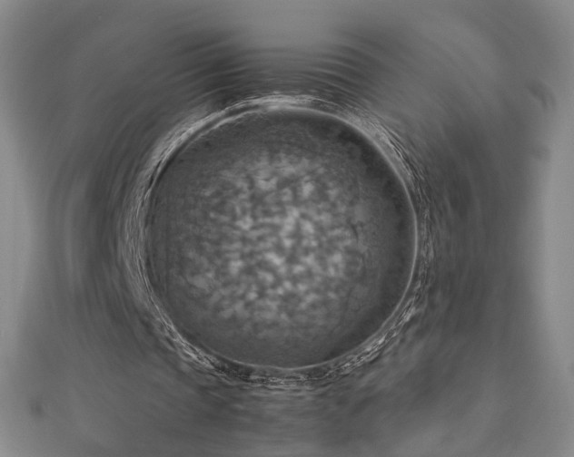 X0000112770337200908201512
