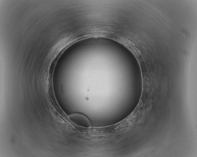 X0000112770338200908201512