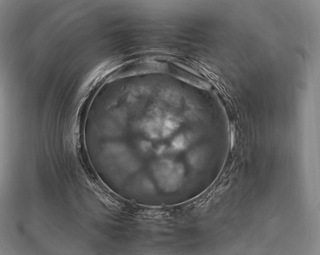 X0000112770339200908201512