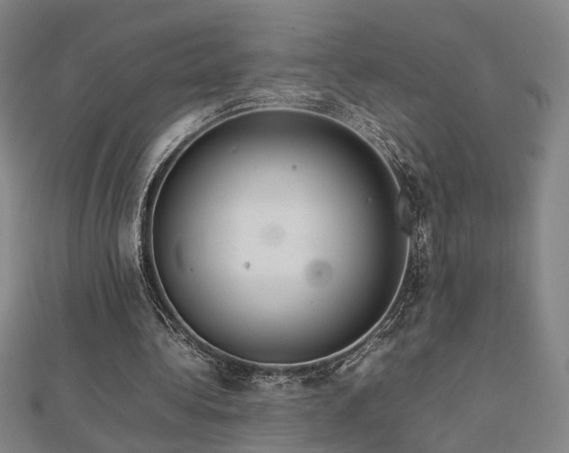 X0000112770340200908201512