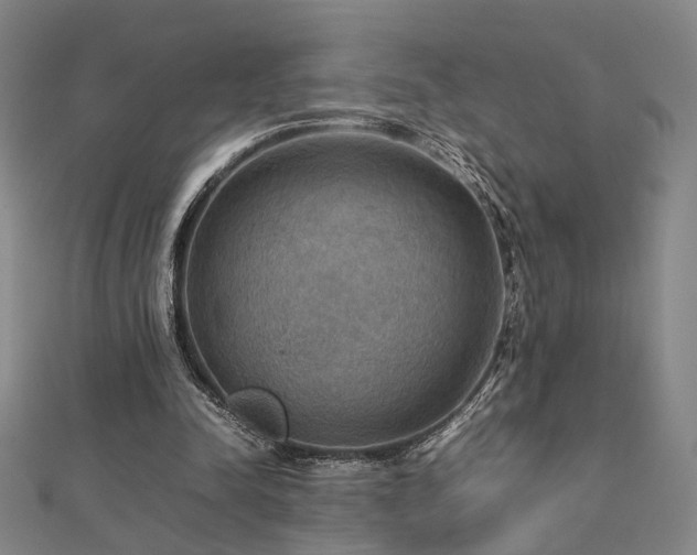 X0000112770342200908201512