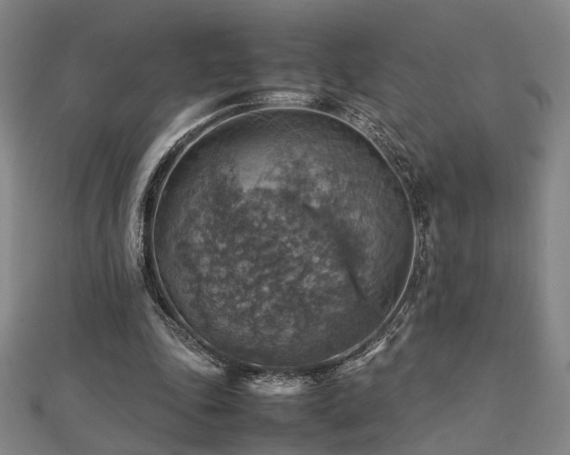 X0000112770343200908201512