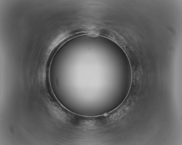 X0000112770344200908201512