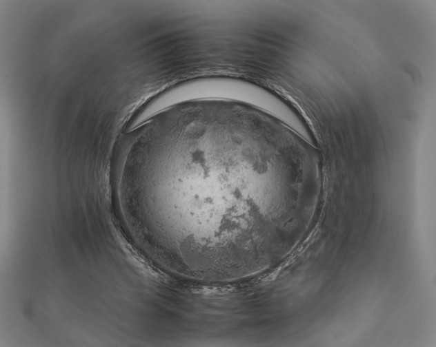 X0000112770345200908201512