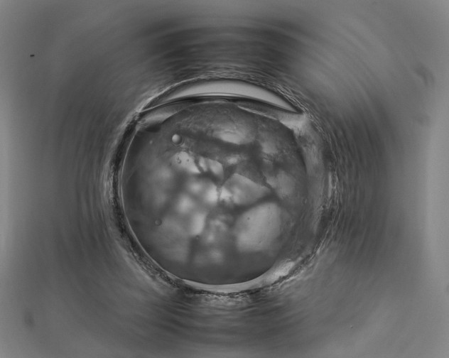 X0000112770347200908201512