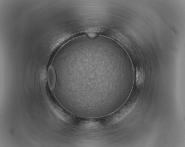 X0000112770348200908201512