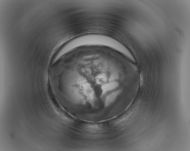 X0000112770349200908201512