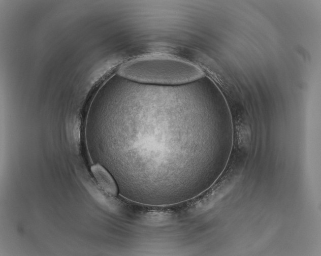 X0000112770350200908201512