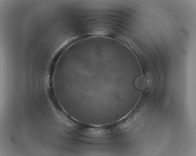 X0000112770351200908201512