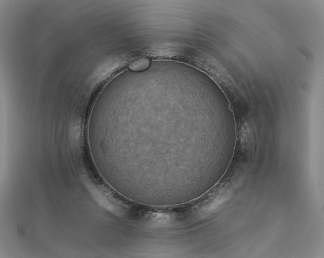 X0000112770352200908201512