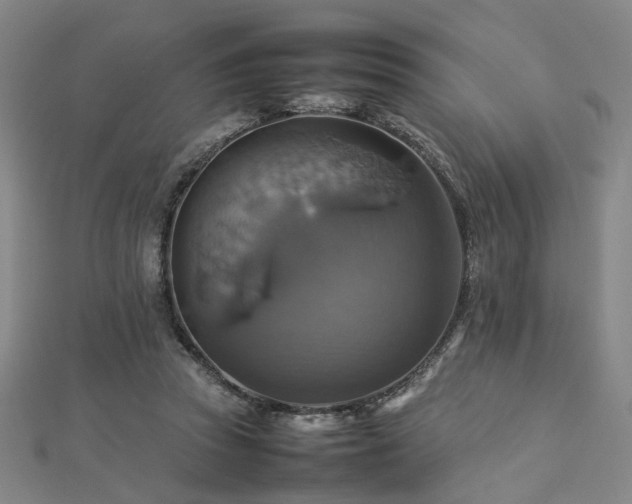 X0000112770353200908201512