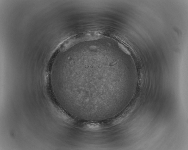X0000112770355200908201512
