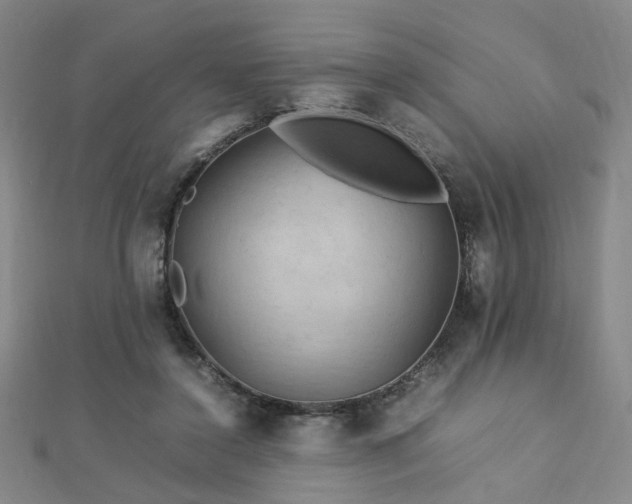 X0000112770356200908201512