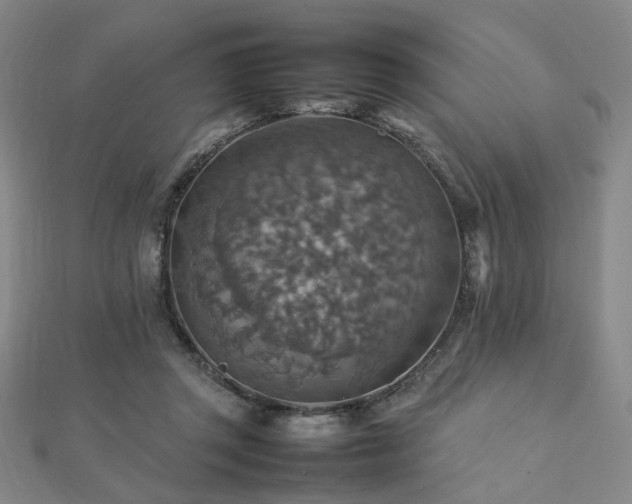 X0000112770357200908201512