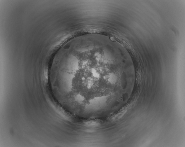 X0000112770358200908201512