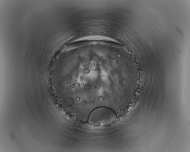 X0000112770359200908201512