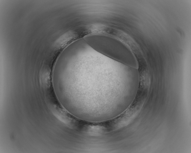X0000112770360200908201512