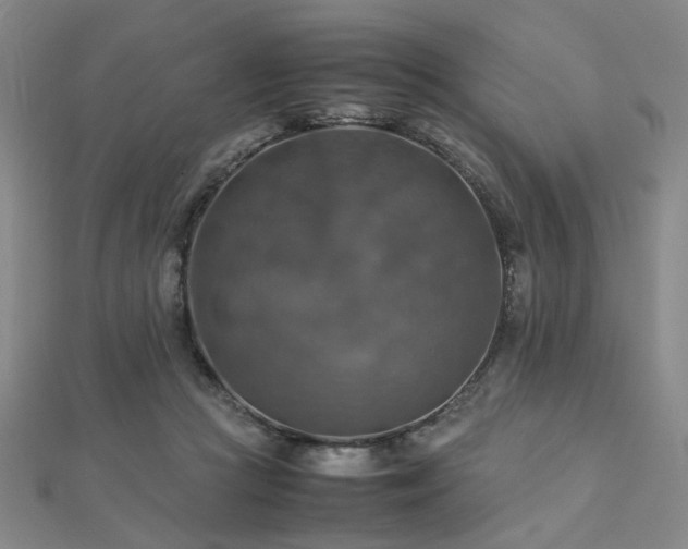X0000112770361200908201512
