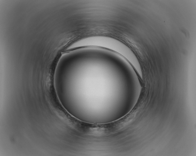 X0000112770362200908201512