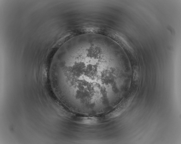 X0000112770363200908201512