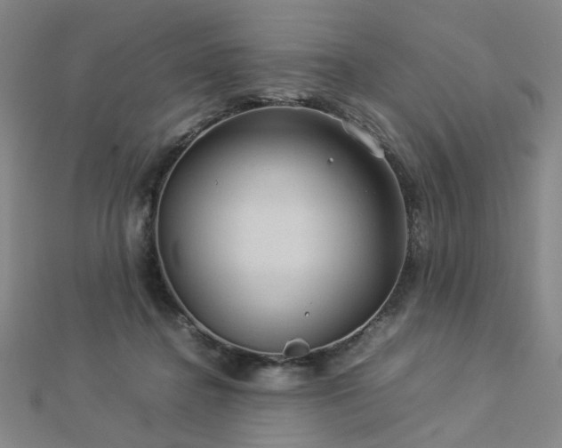 X0000112770364200908201512
