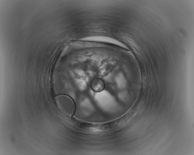 X0000112770365200908201512