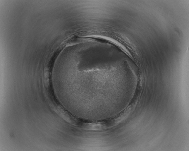 X0000112770366200908201512