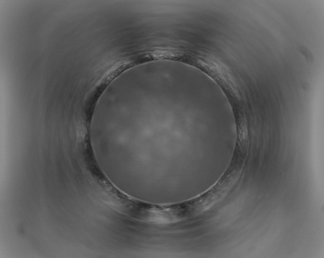 X0000112770367200908201512