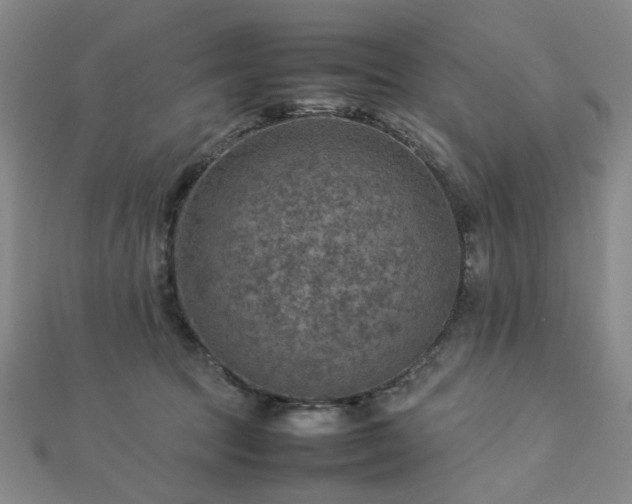 X0000112770369200908201512