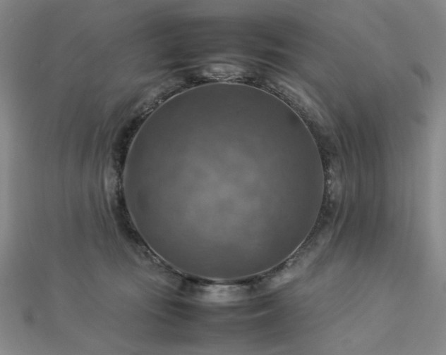 X0000112770371200908201513