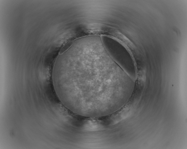 X0000112770372200908201513