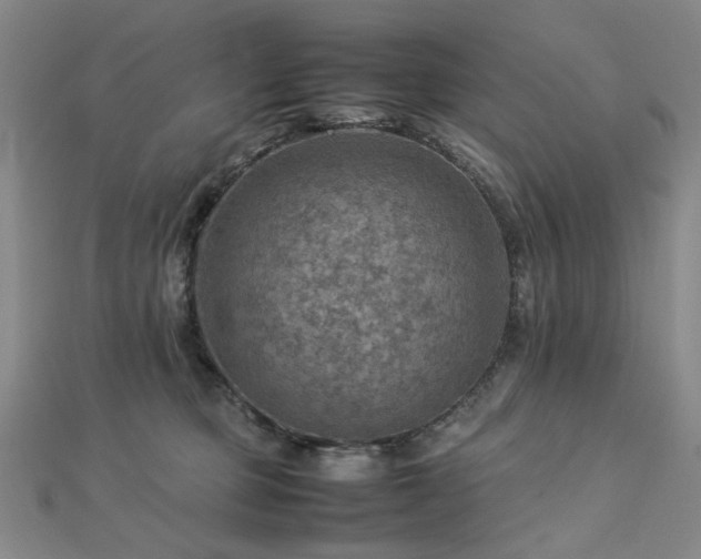 X0000112770373200908201513