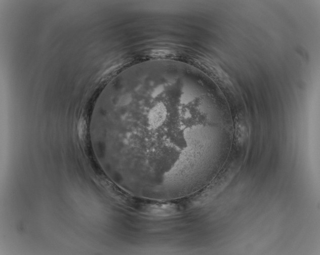 X0000112770375200908201513