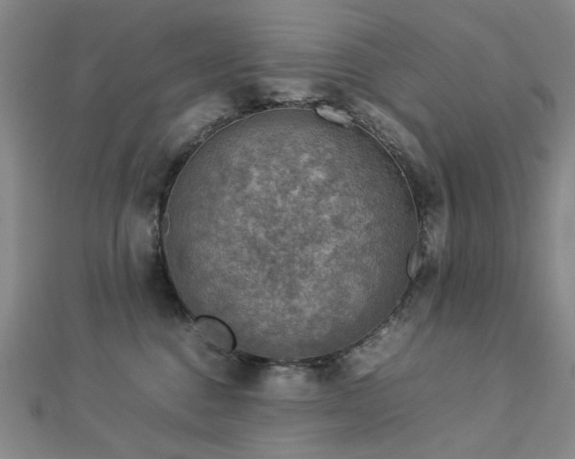 X0000112770376200908201513