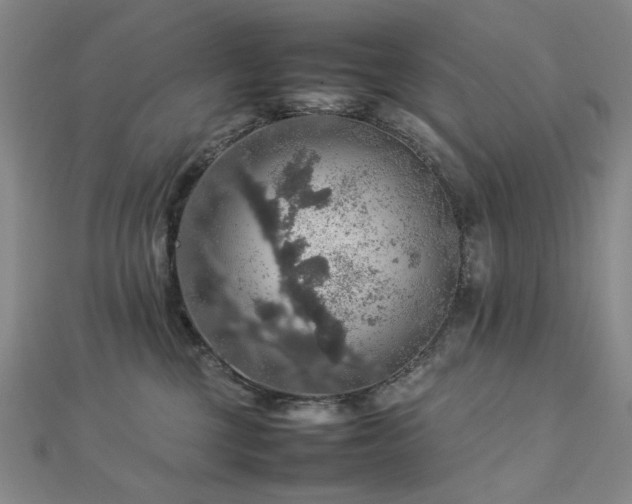 X0000112770377200908201513