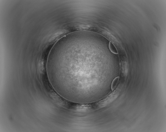 X0000112770378200908201513