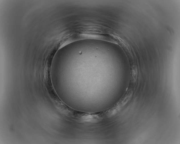 X0000112770379200908201513