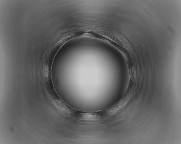 X0000112770380200908201513