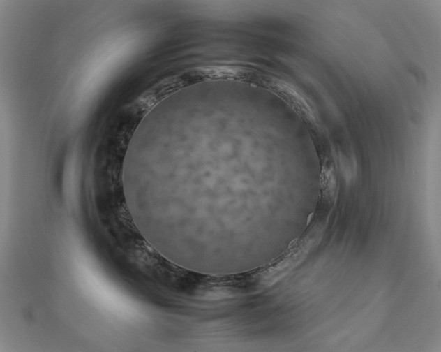 X0000112770381200908201513
