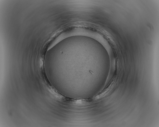 X0000112770382200908201513