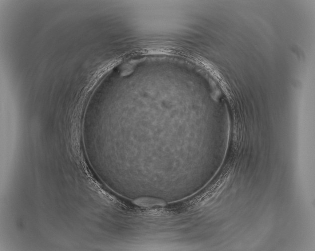 X0000112770385200908201512