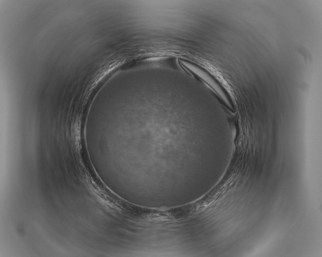 X0000112770386200908201512