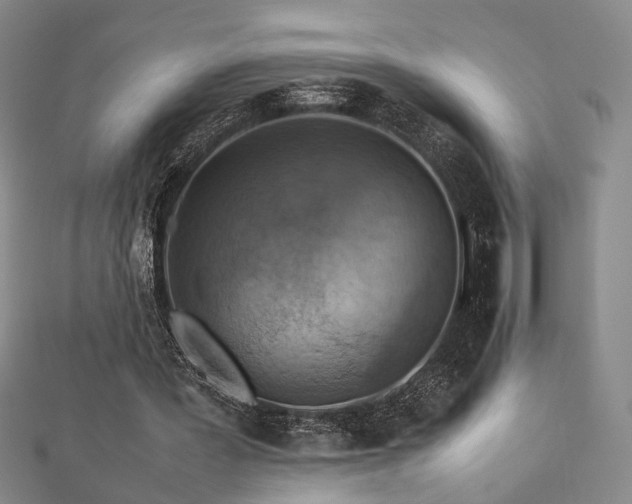 X0000112770387200908201512
