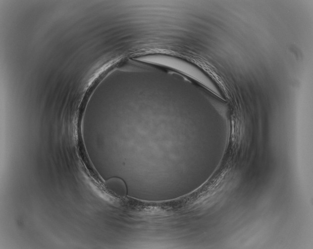 X0000112770390200908201512