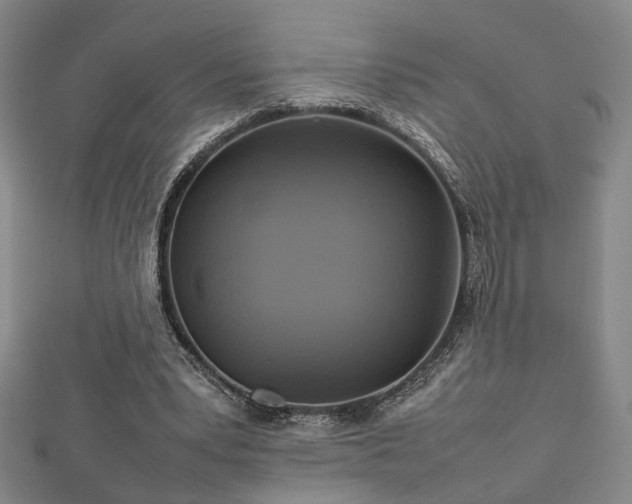 X0000112770391200908201512