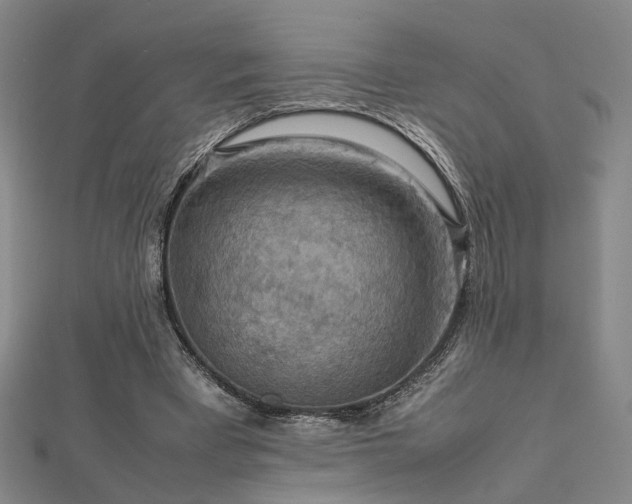 X0000112770393200908201512