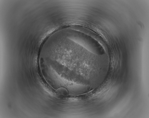 X0000112770394200908201512