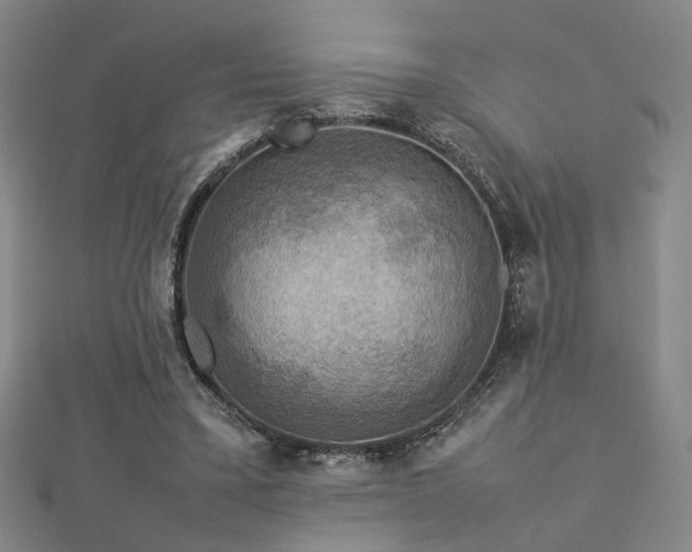 X0000112770395200908201512