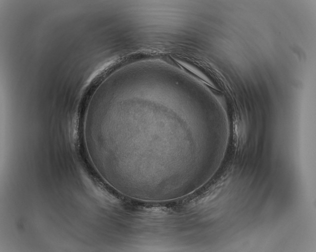X0000112770396200908201512