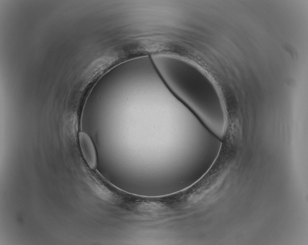 X0000112770397200908201512